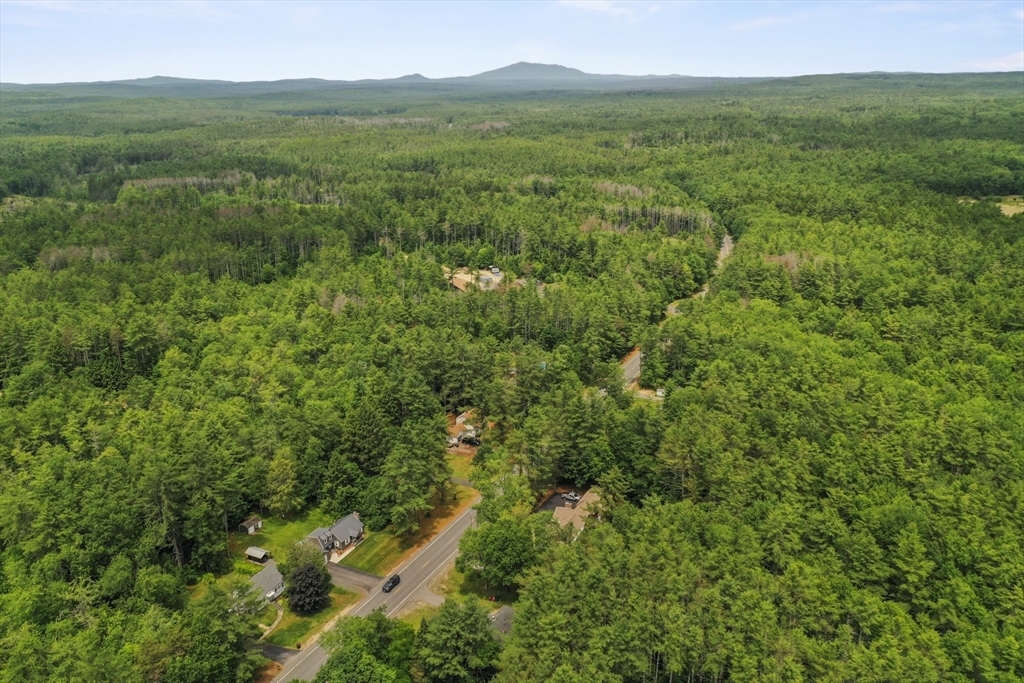 49 Winchendon Road
