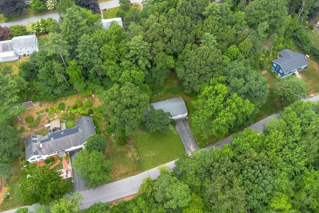 18 Lothrop Road