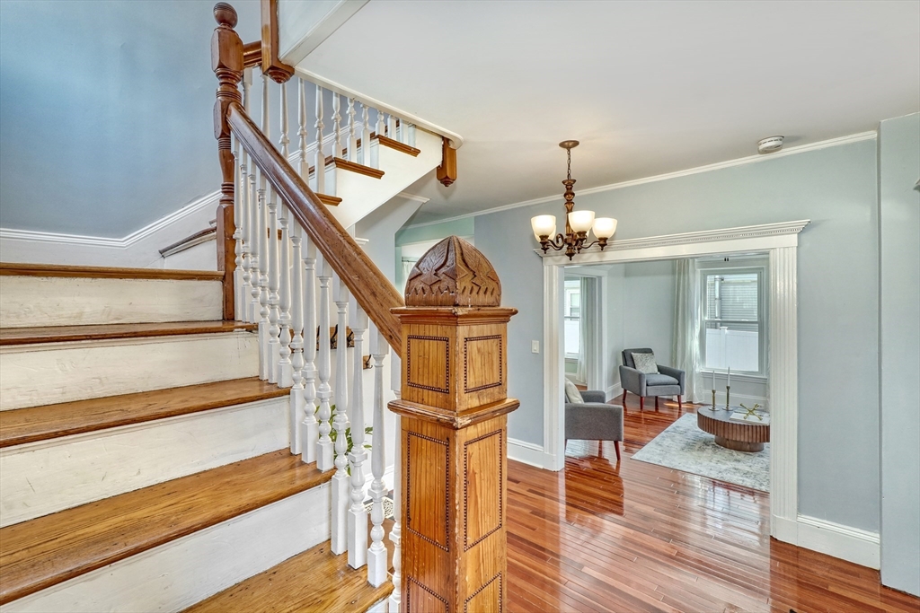 31 Wolcott St