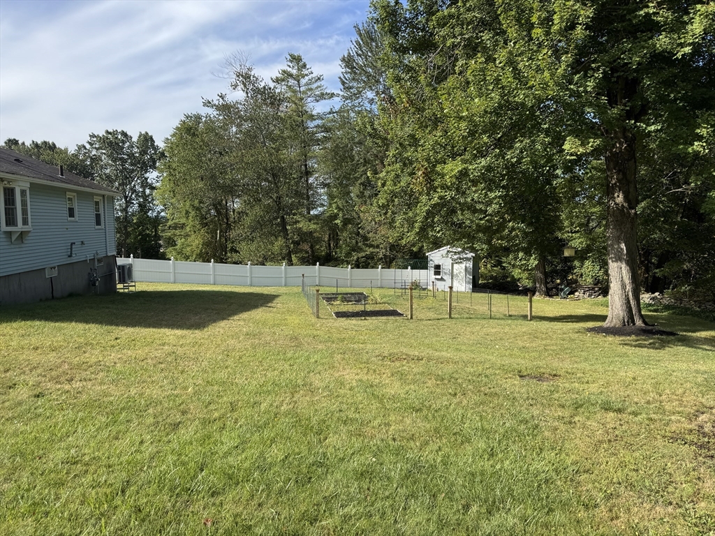 50 Daisy Dr