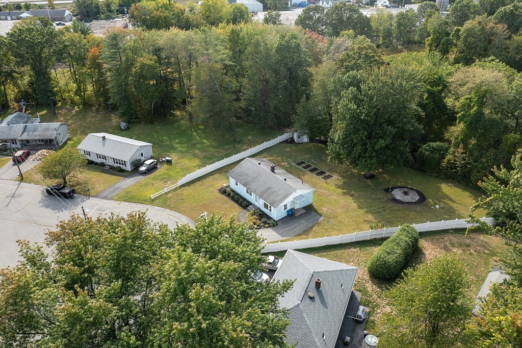 50 Daisy Dr
