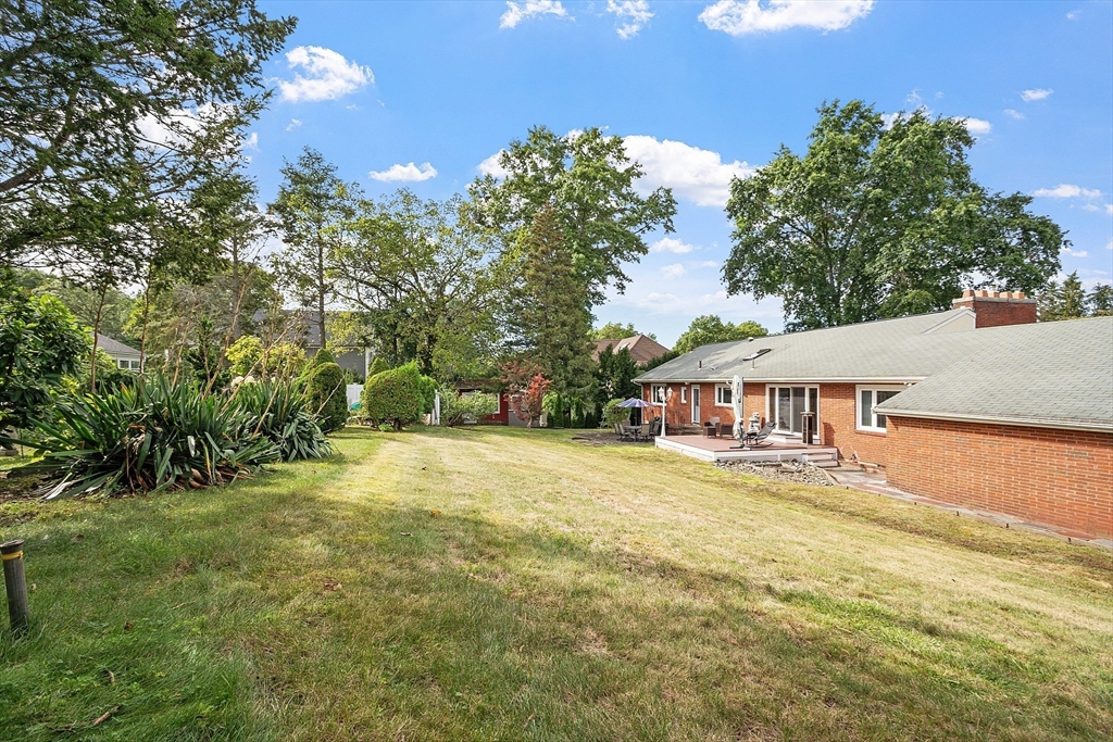 41 Webster Road