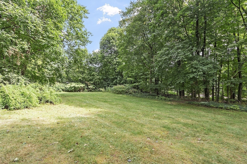 56 Windsor Ave