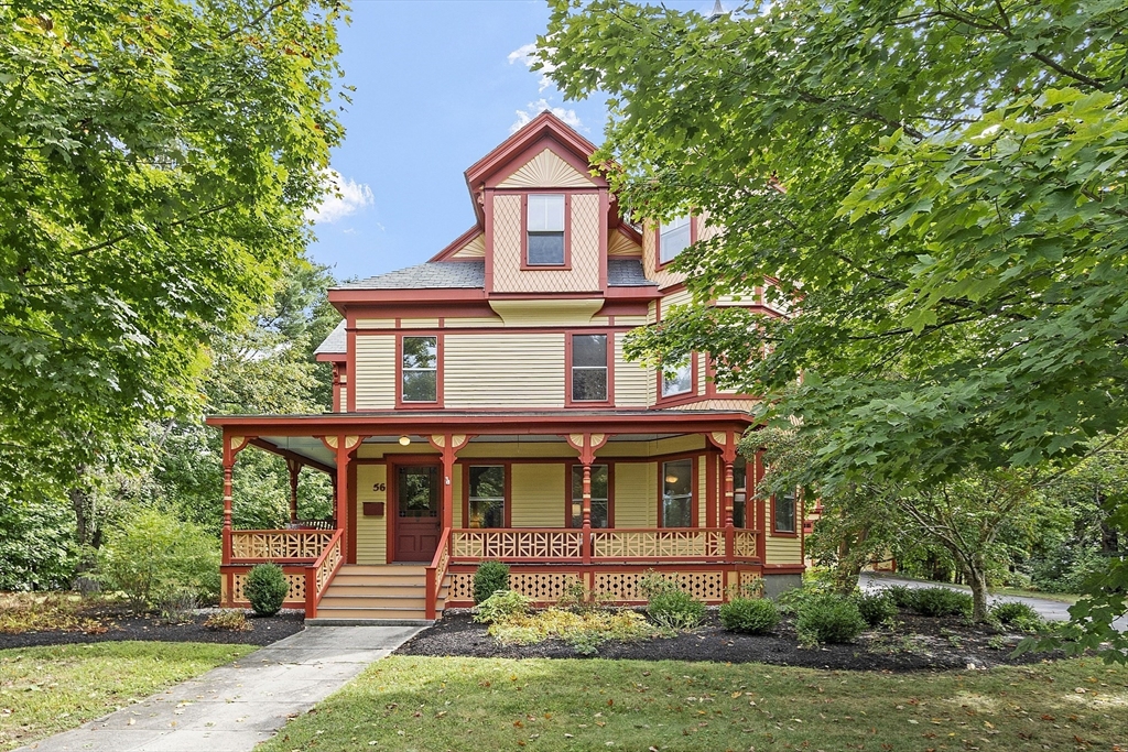 56 Windsor Ave
