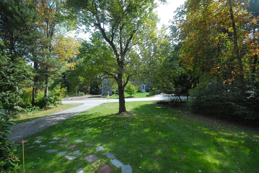 13 Beverly Rd, Acton