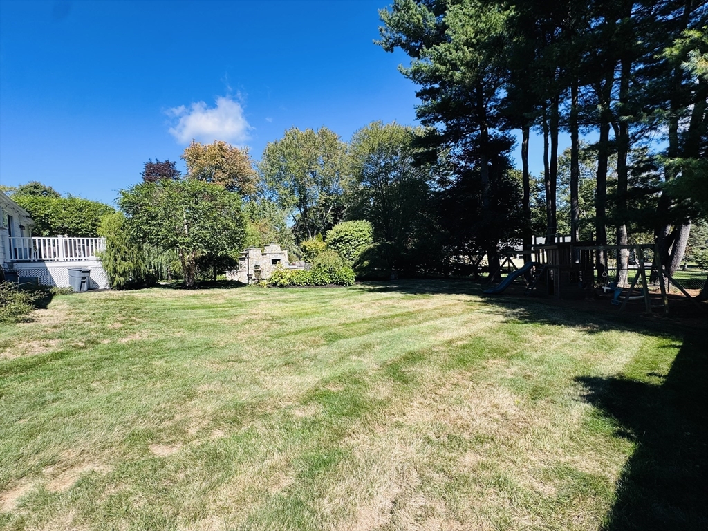 8 Cedar St