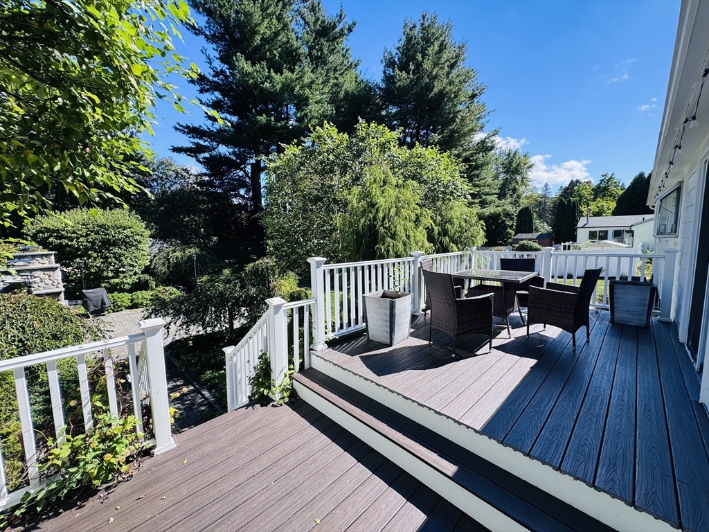 8 Cedar St