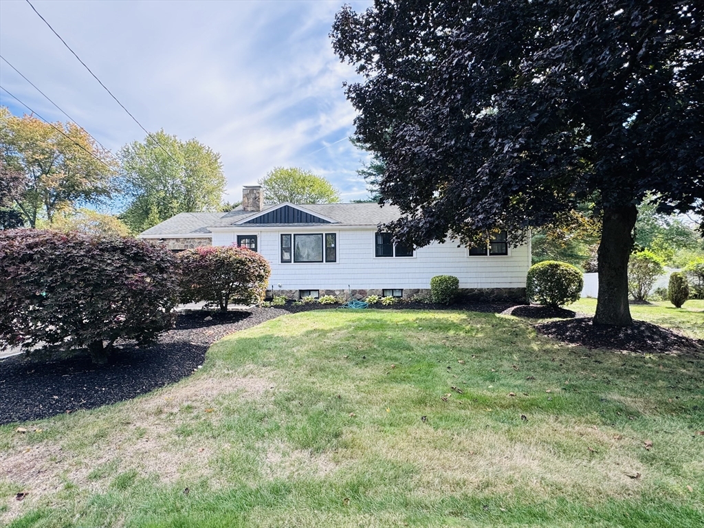 8 Cedar St