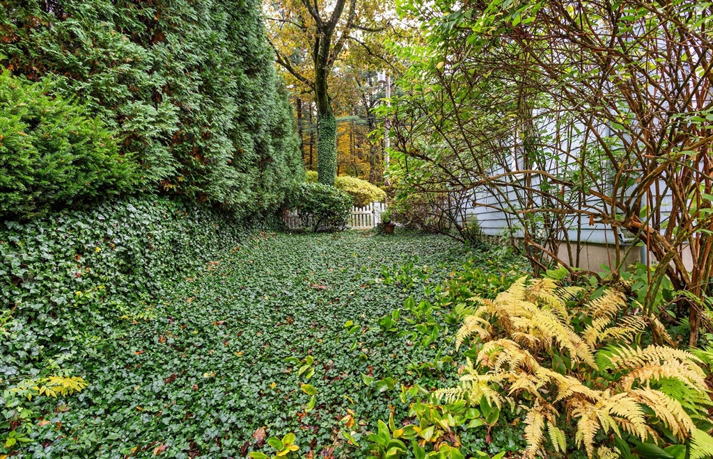 102 Hillcrest Pkwy