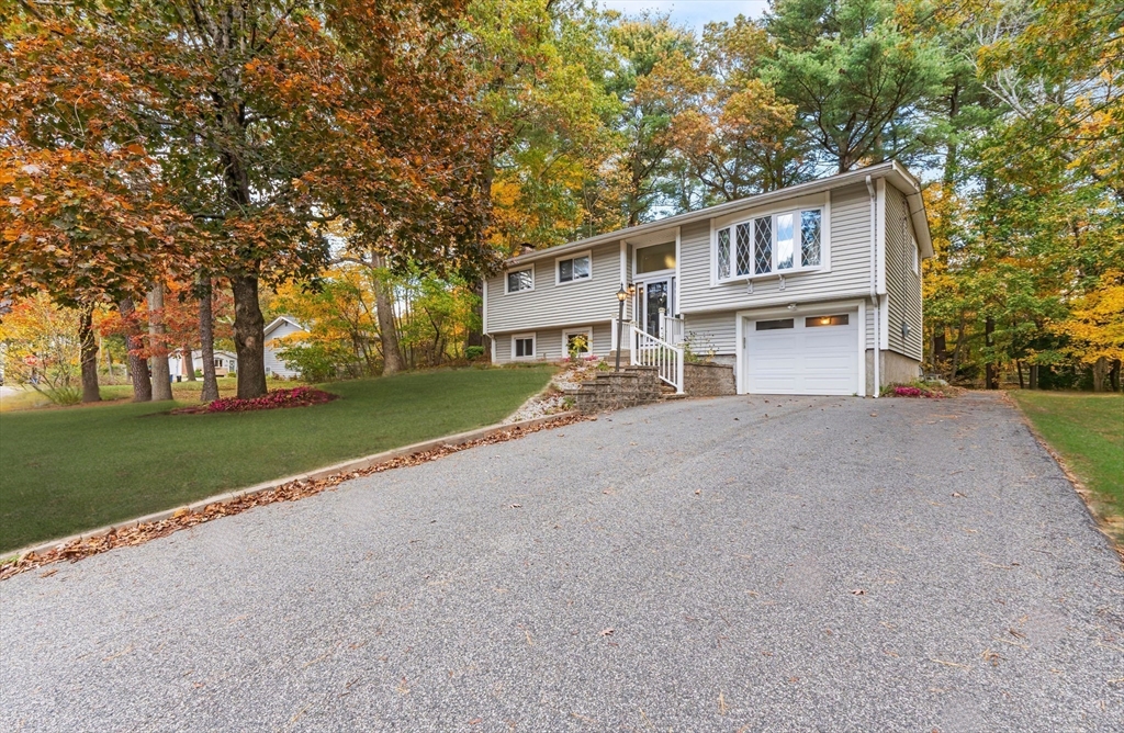 6 Tall Tree Rd