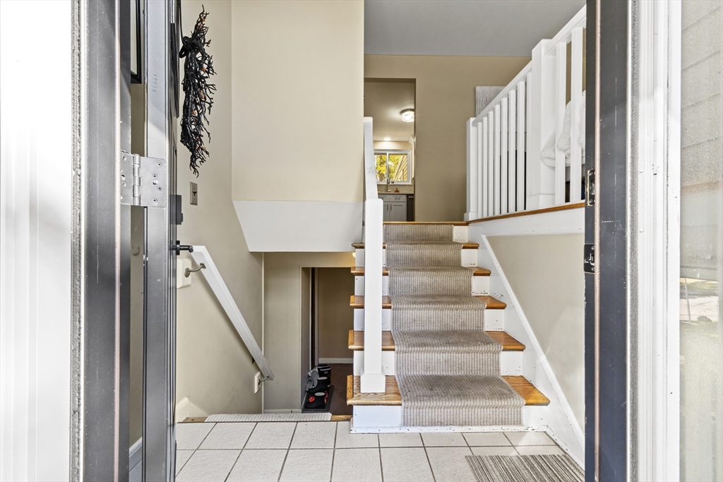 6 Tall Tree Rd