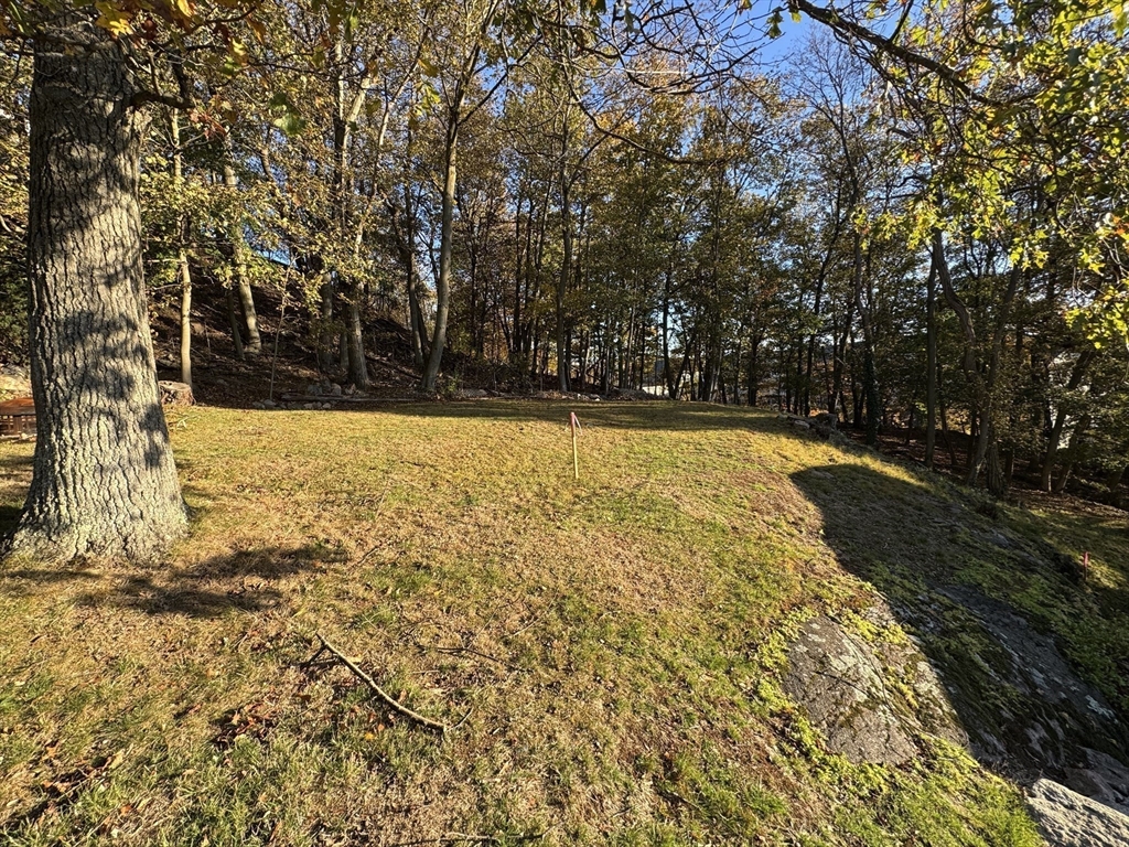 133 Brattle # 2