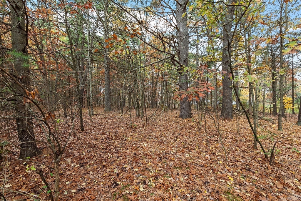 45 Clark Rd