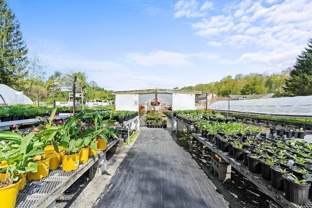 577 Great Rd