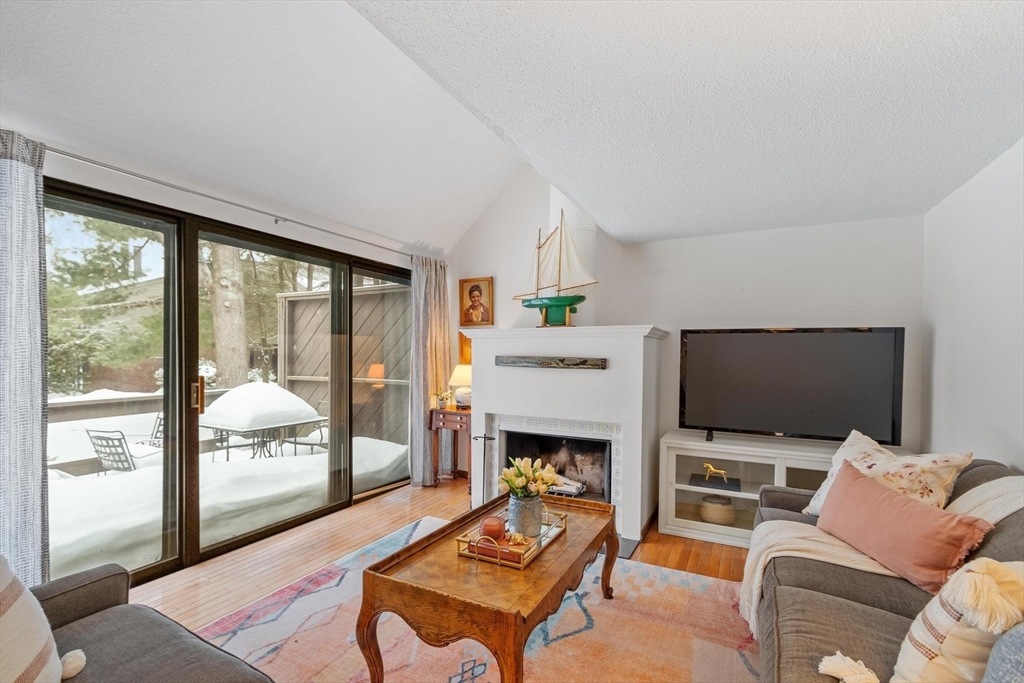 262 Brown Bear Crossing # 262