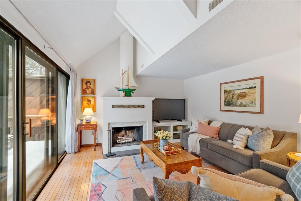 262 Brown Bear Crossing # 262