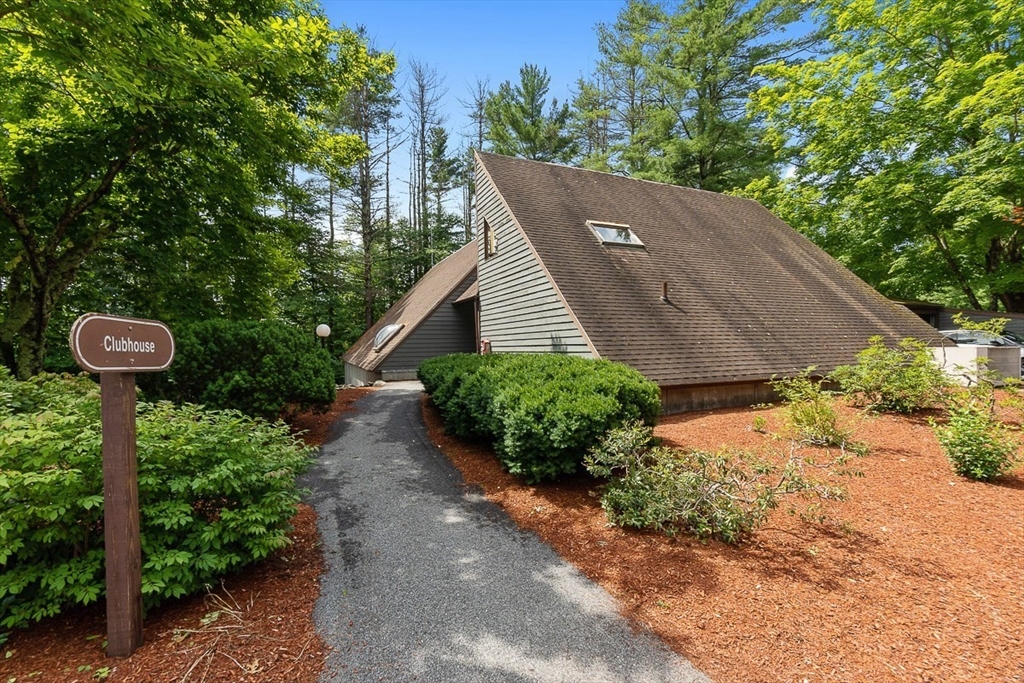 262 Brown Bear Crossing # 262