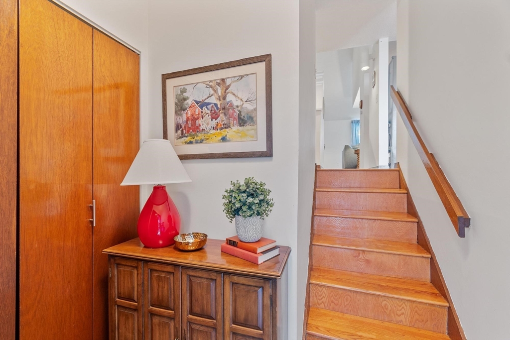 262 Brown Bear Crossing # 262