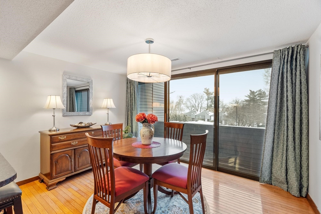 262 Brown Bear Crossing # 262