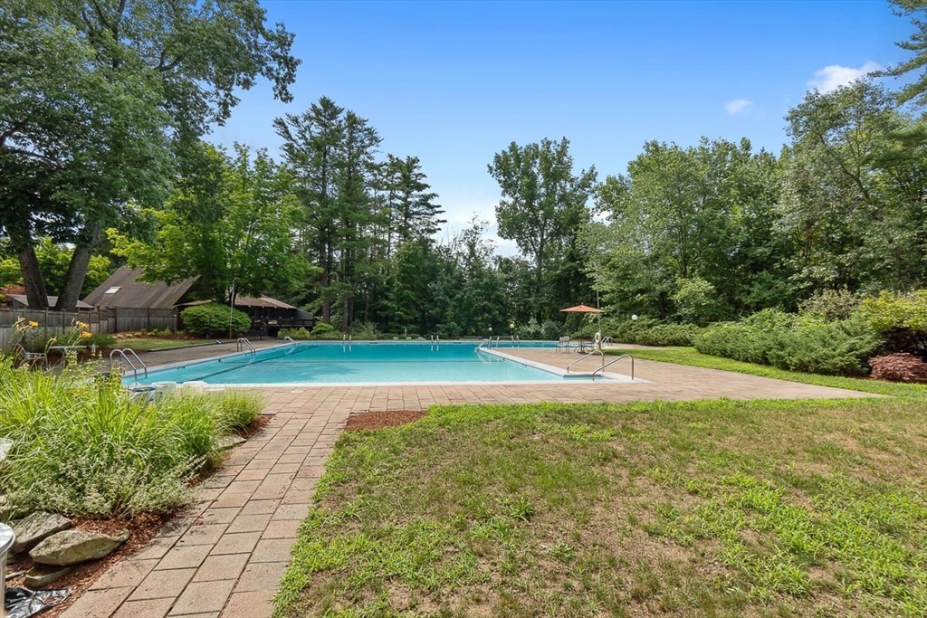 262 Brown Bear Crossing # 262