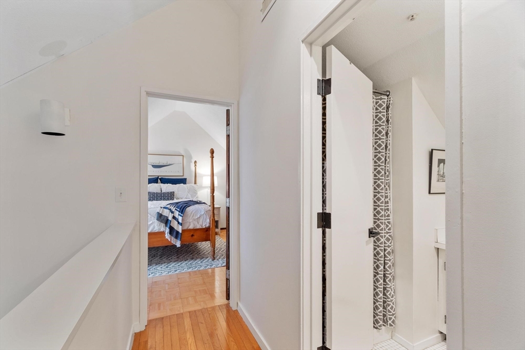 262 Brown Bear Crossing # 262