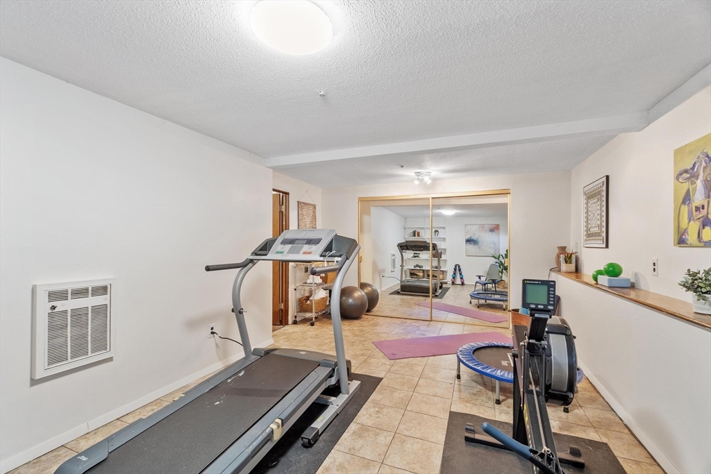 262 Brown Bear Crossing # 262