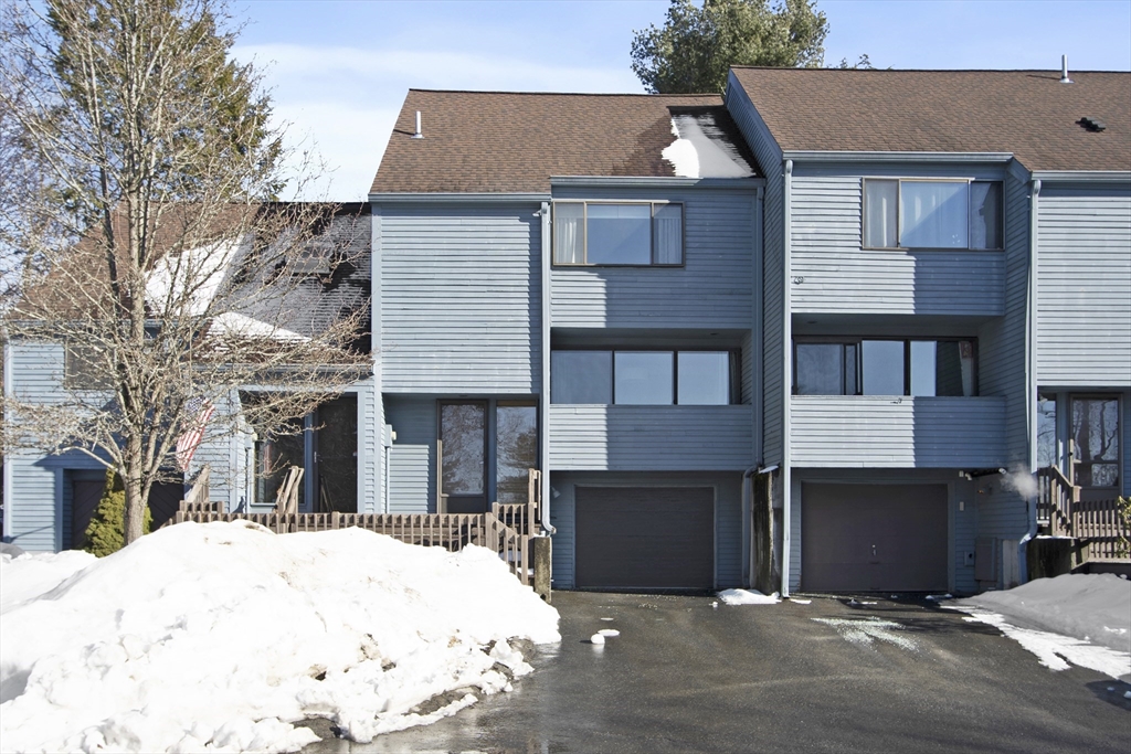 262 Brown Bear Crossing # 262