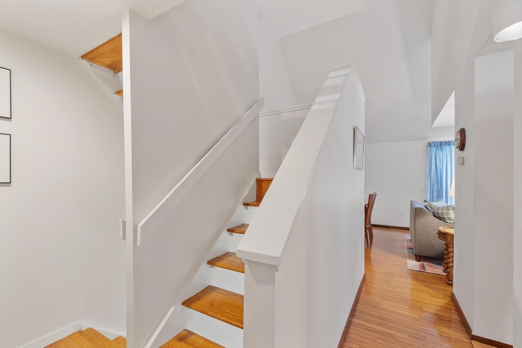 262 Brown Bear Crossing # 262