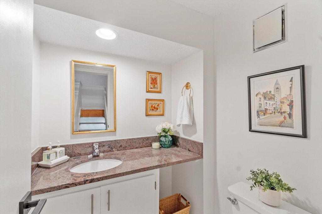 262 Brown Bear Crossing # 262