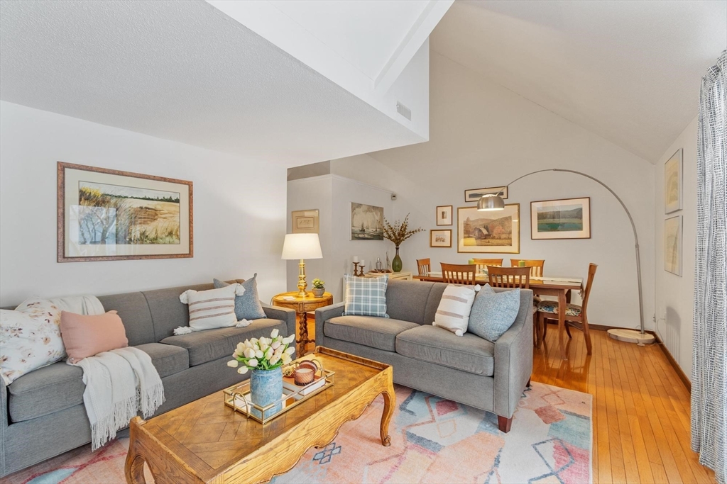 262 Brown Bear Crossing # 262