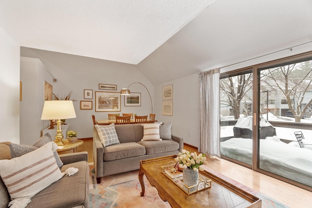 262 Brown Bear Crossing # 262