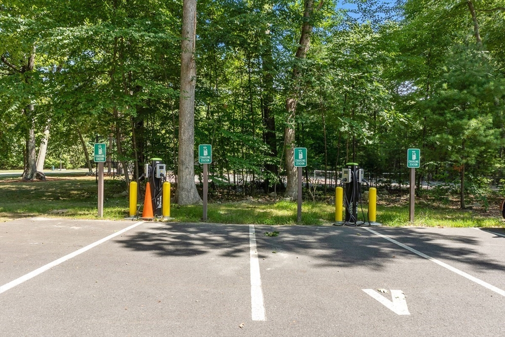 262 Brown Bear Crossing # 262