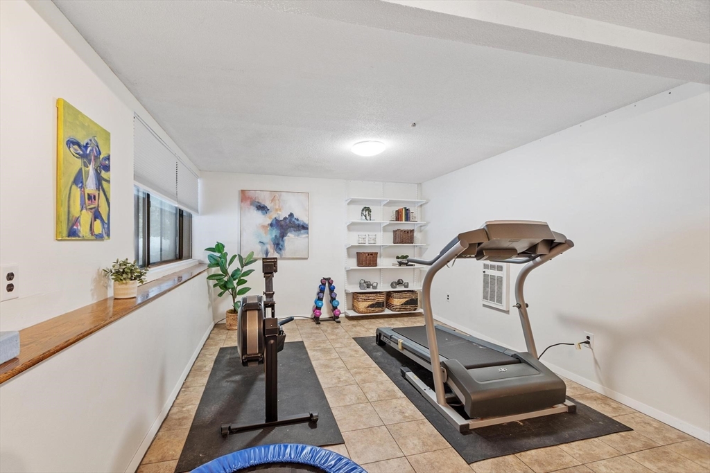 262 Brown Bear Crossing # 262