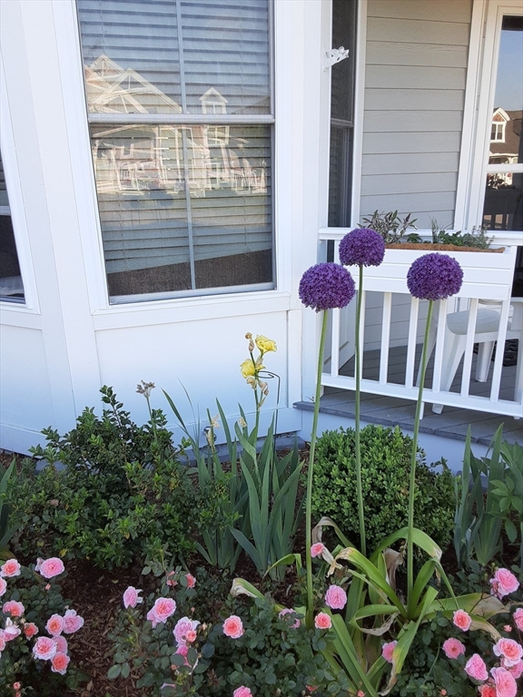 3 Strawberry Lane # A