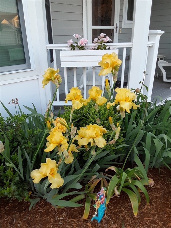 3 Strawberry Lane # A