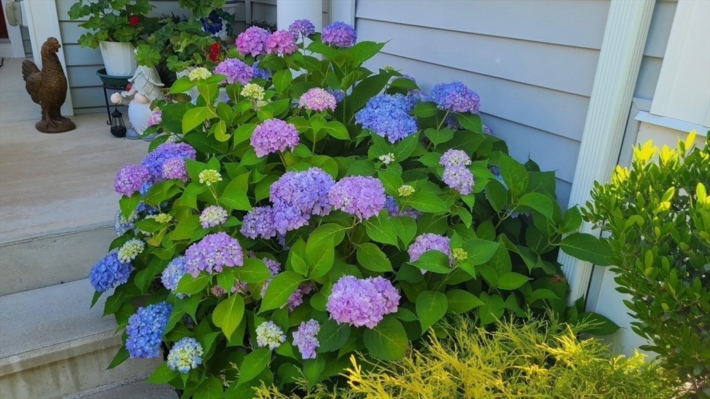 35 Greenside Ln # 35