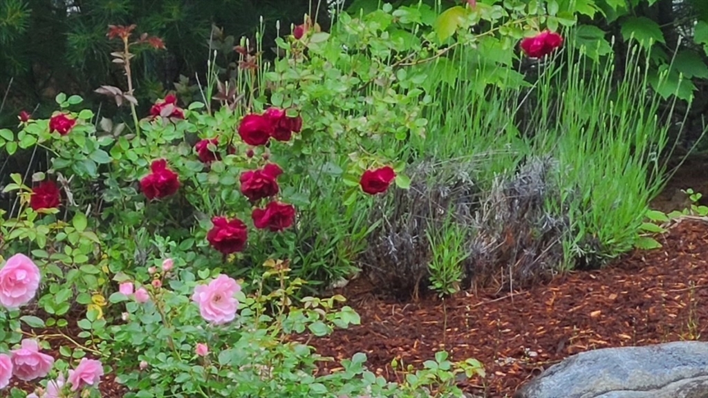 35 Greenside Ln # 35