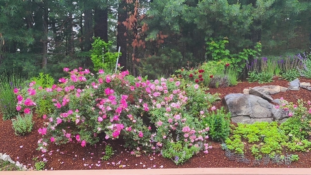 35 Greenside Ln # 35