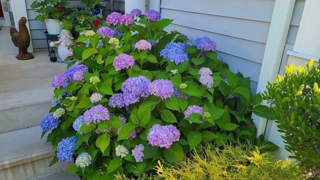 35 Greenside Ln # 35