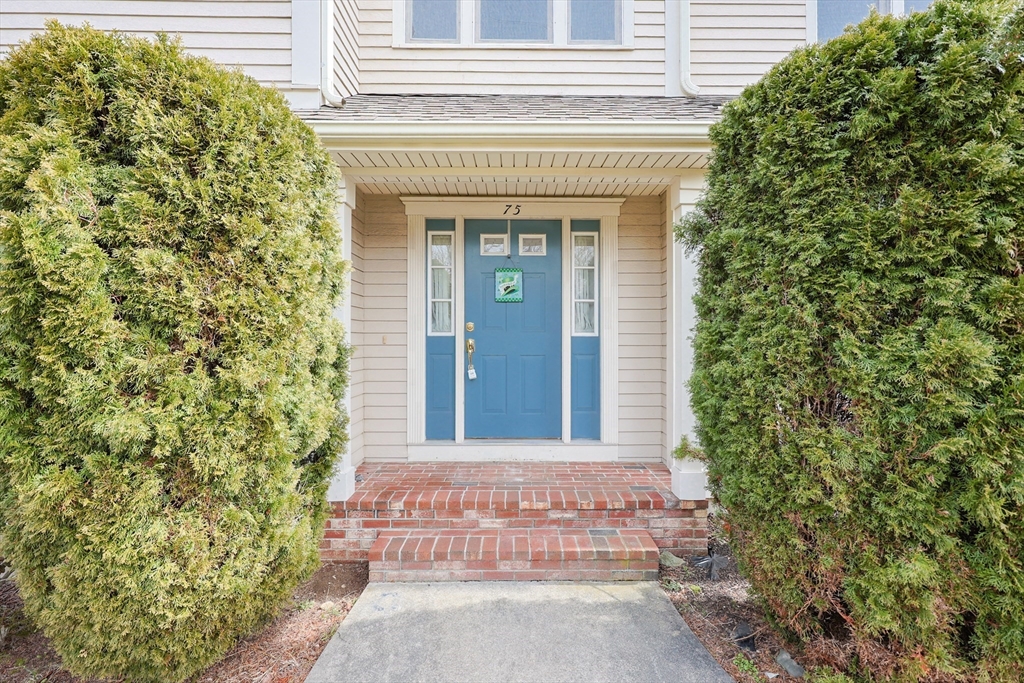 75 Sunflower Dr