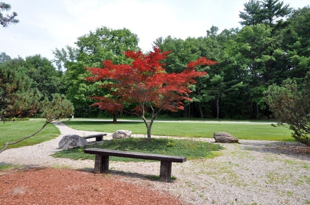 559 Great Elm Way # 559