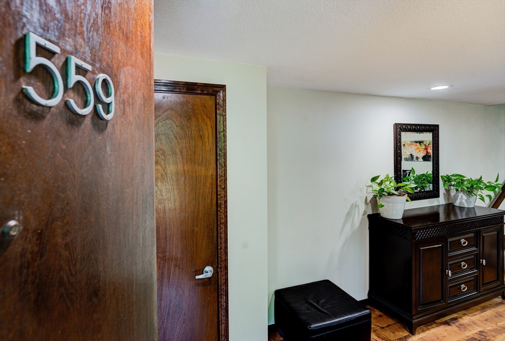 559 Great Elm Way # 559