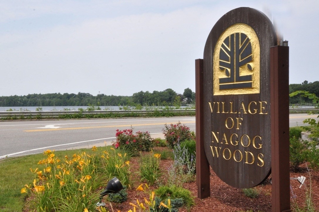 559 Great Elm Way # 559