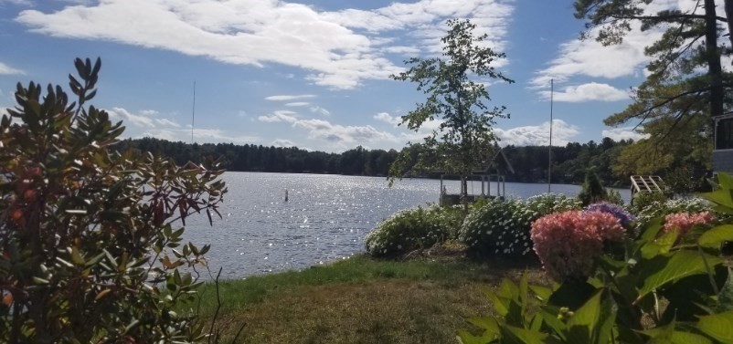 66 Pine Point Road