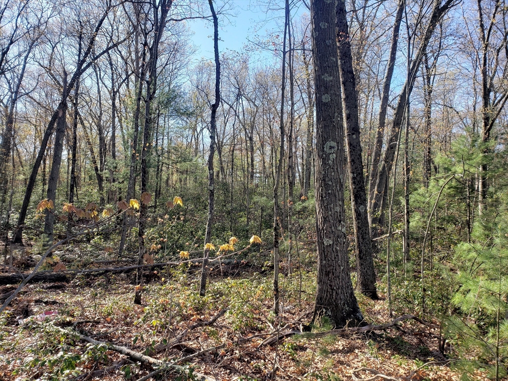 0 Northwest Rd Lot 3