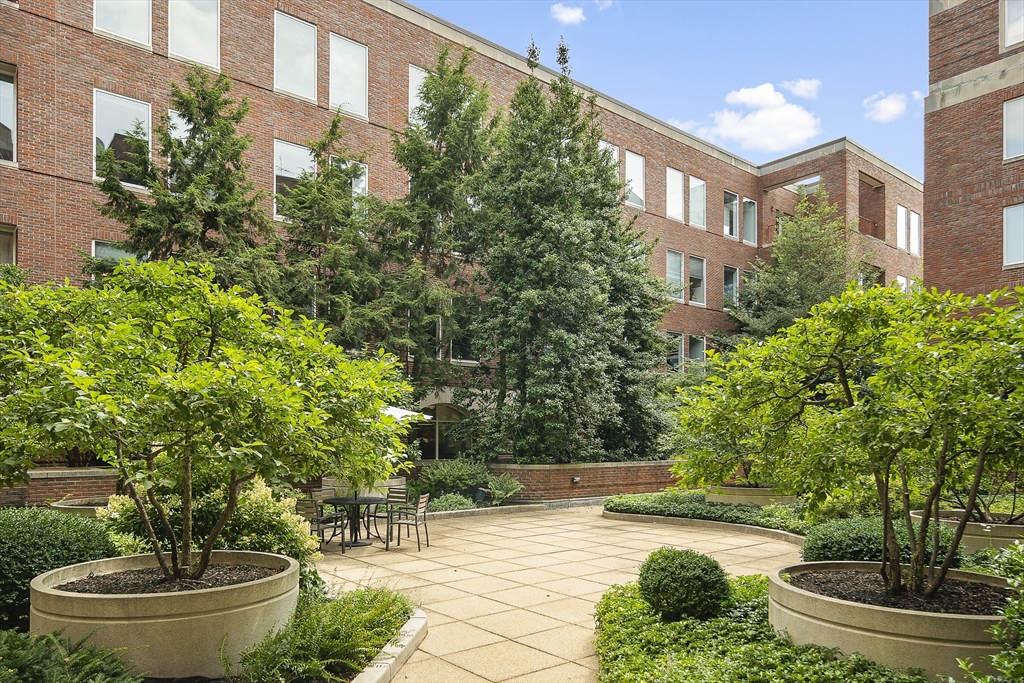 130 Mount Auburn St # 113