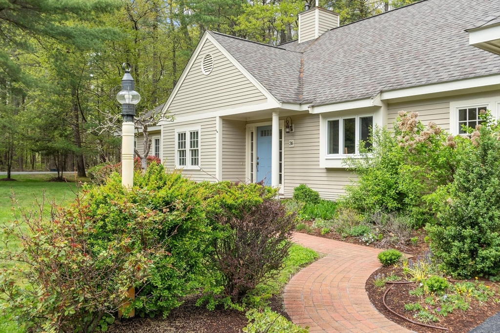 36 Pickman Dr