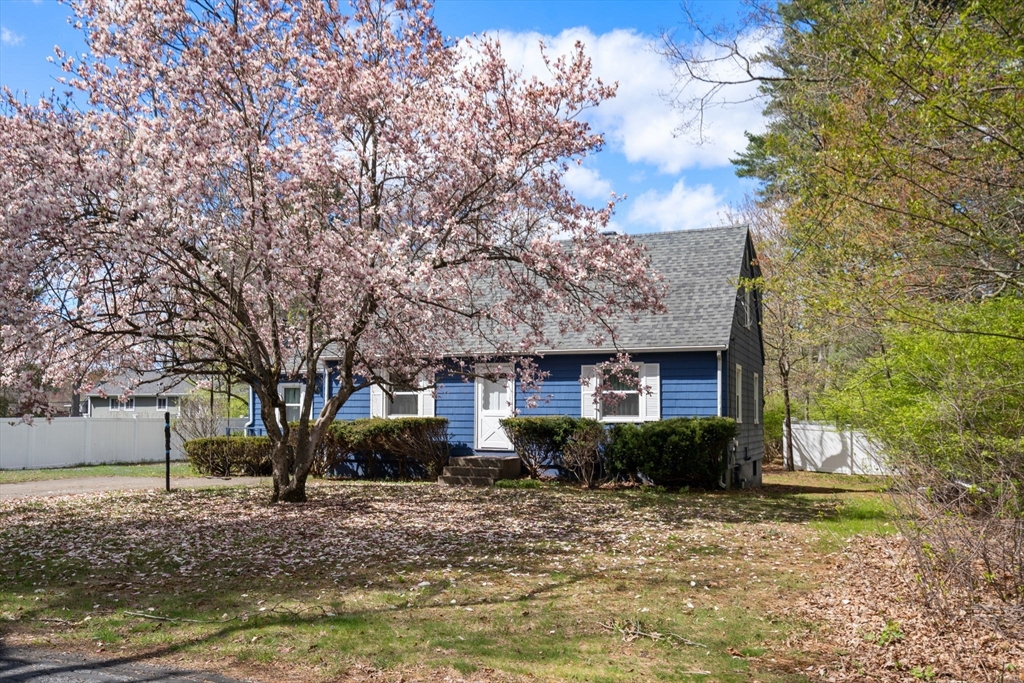 64 Pinewood Ave