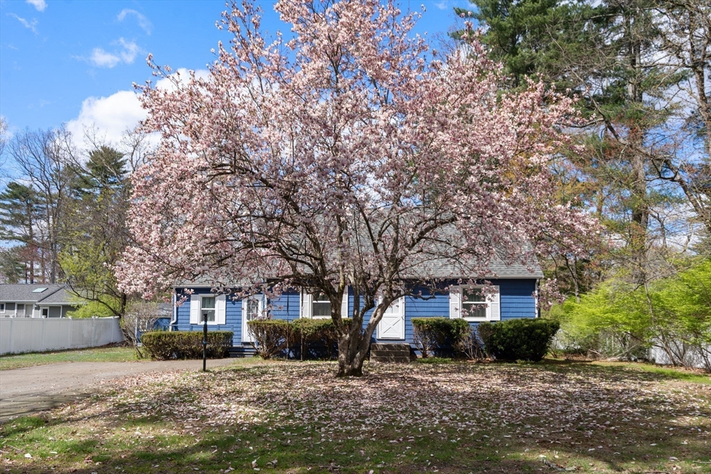 64 Pinewood Ave