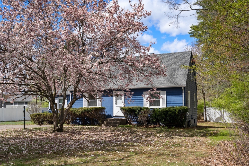 64 Pinewood Ave